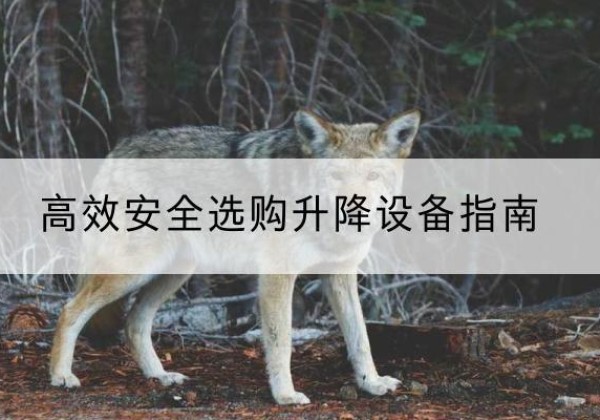 渑池升降货梯厂家推荐-*安全选购升降设备指南