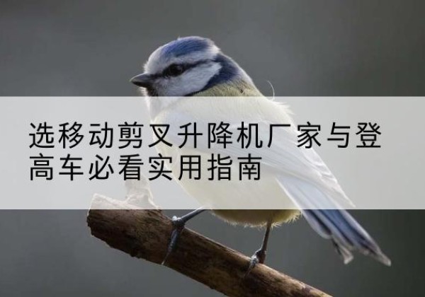 渑池电动升降机厂家-选移动剪叉升降机厂家与登高车必看实用指南